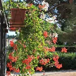 7042b Appartement *