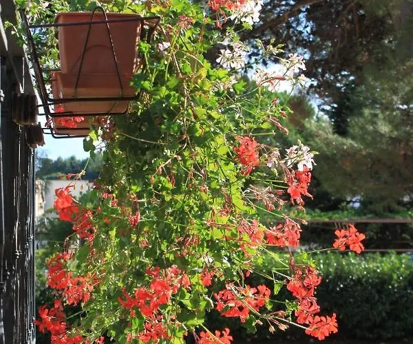 7042b Διαμέρισμα *